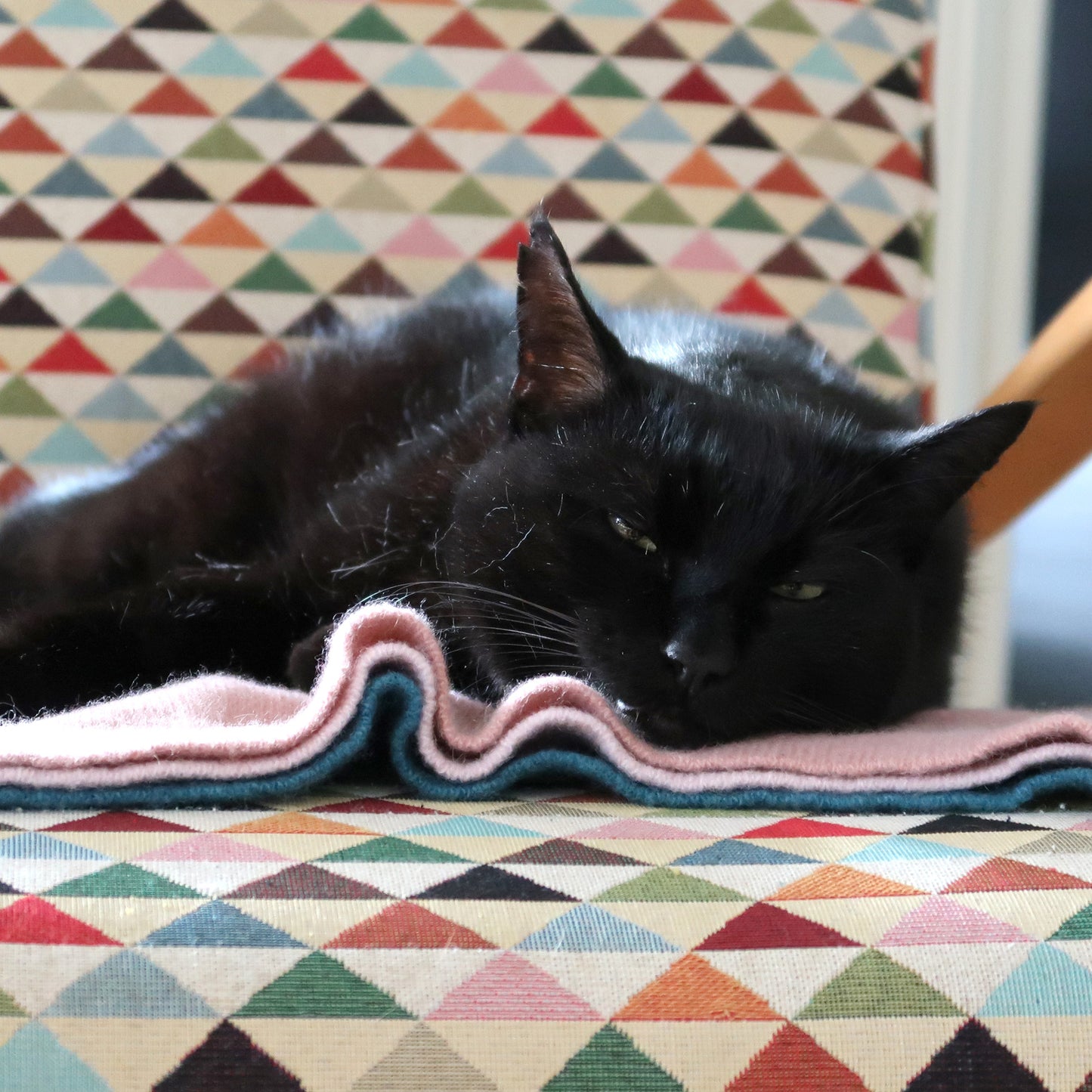 Animal blanket made of wool and cashmere Petrol