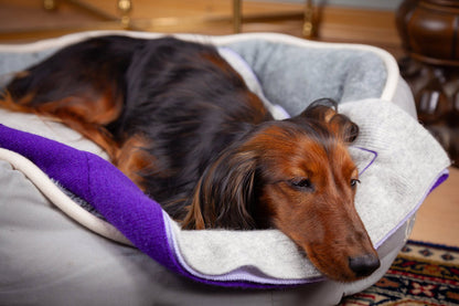 Animal blanket made of wool and cashmere grey