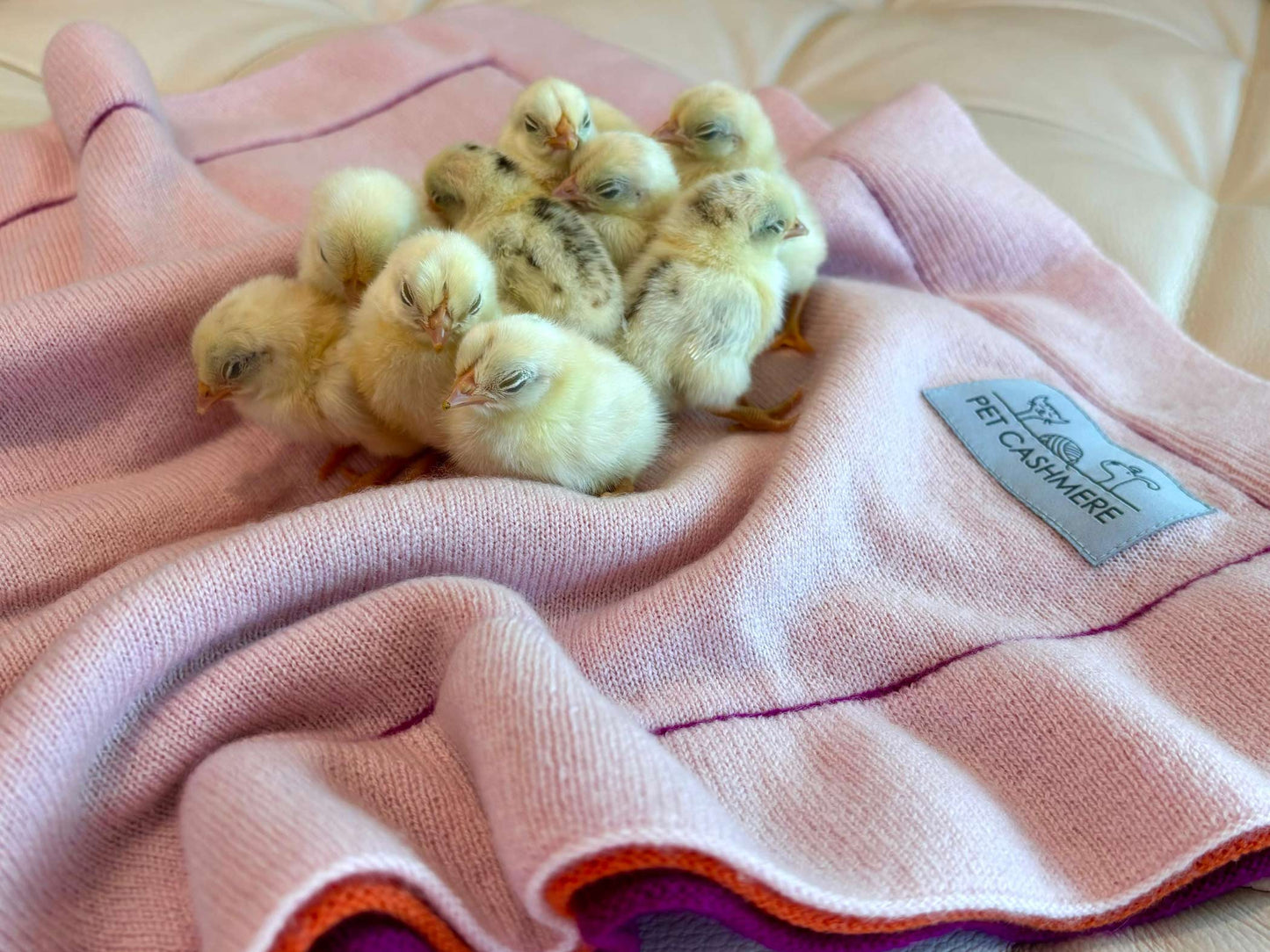 Premium Kuscheldecke für Haustiere aus Wolle und Kaschmir Pink